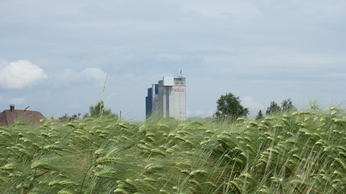 Meliofeed: Gebäude Herzogenbuchsee Meliofeed: Gebäude Herzogenbuchsee